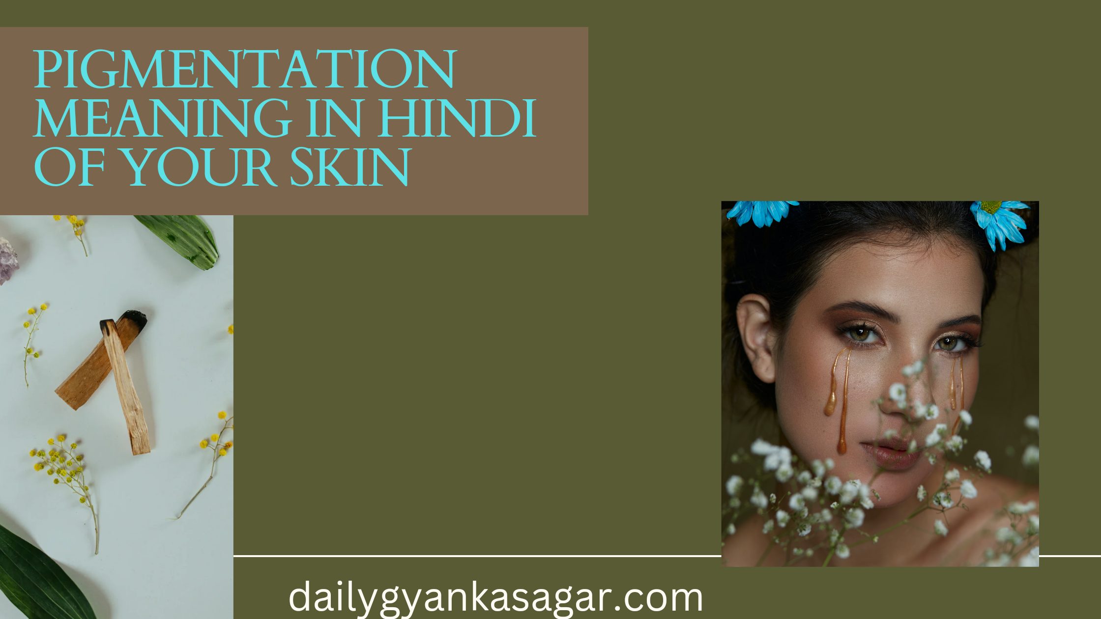 Pigmentation Meaning In Hindi