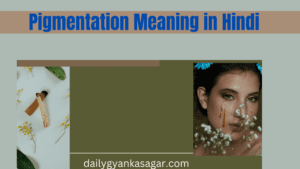 Pigmentation meaning in hindi 
