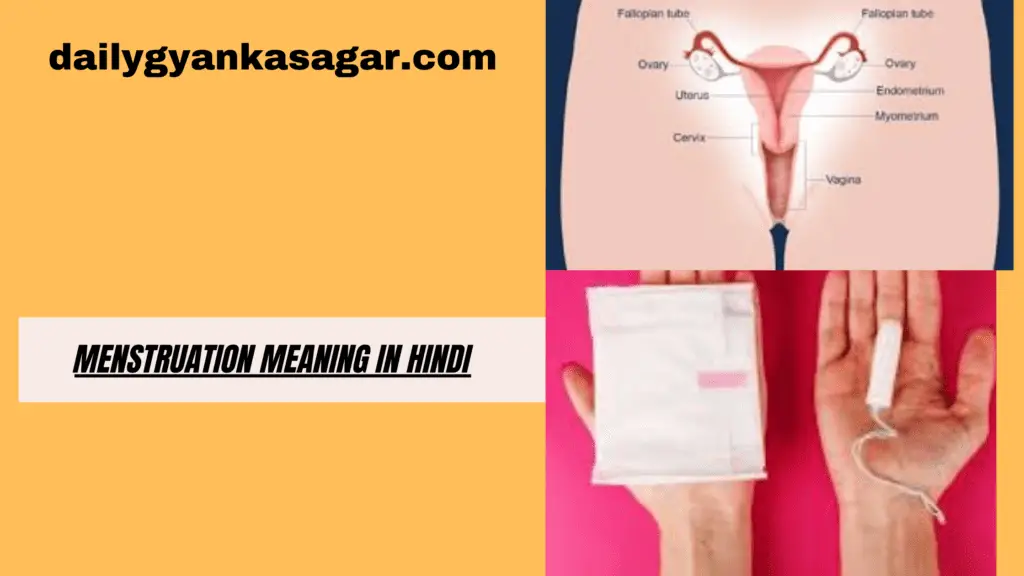 Menstruation Meaning In Hindi