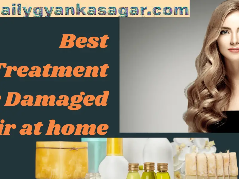 Best Treatment For Damaged Hair at Home