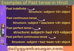 Example of Past Tense in Hindi 