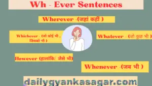 Wh - Ever Sentences